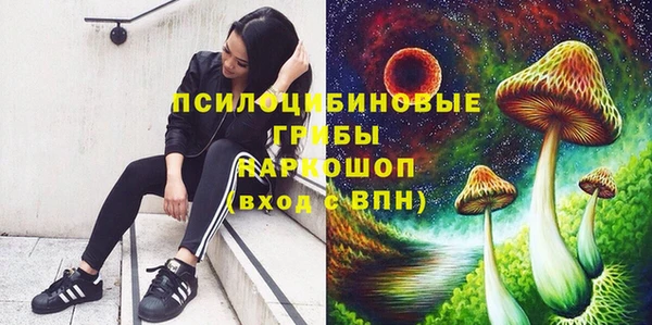 молекула духа Алексин