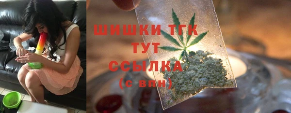 молекула духа Алексин