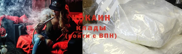 стаф Алзамай