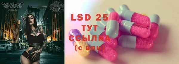 стаф Алзамай