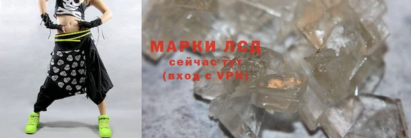 стаф Алзамай