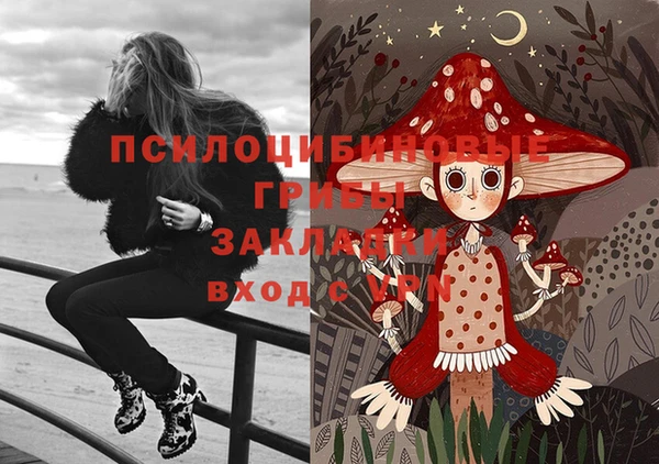 альфа пвп Алексеевка